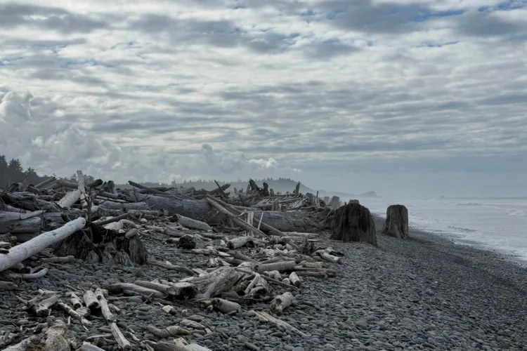 What to know about the Kelvin wave raising the sea level along the West Coast